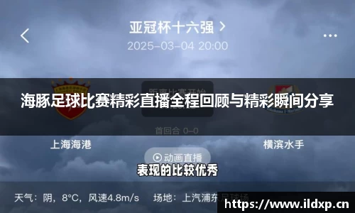 海豚足球比赛精彩直播全程回顾与精彩瞬间分享