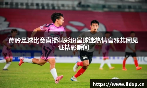 安信12娱乐平台
