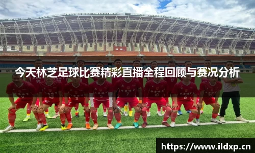 安信12娱乐