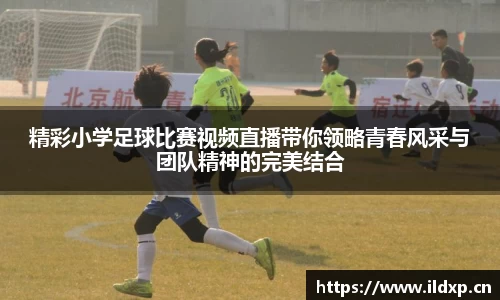 安信12娱乐
