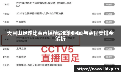 天目山足球比赛直播精彩瞬间回顾与赛程安排全解析