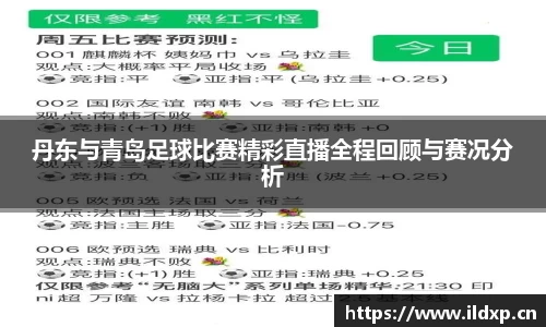 丹东与青岛足球比赛精彩直播全程回顾与赛况分析