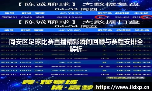 安信12