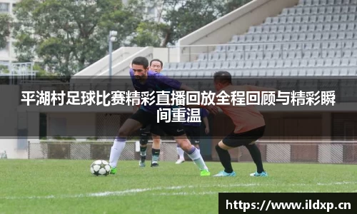 安信12娱乐