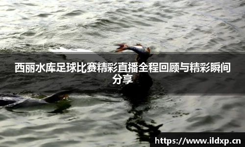 西丽水库足球比赛精彩直播全程回顾与精彩瞬间分享