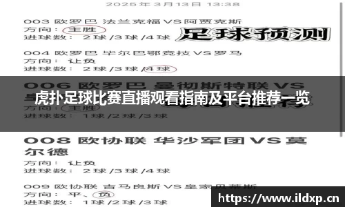 虎扑足球比赛直播观看指南及平台推荐一览