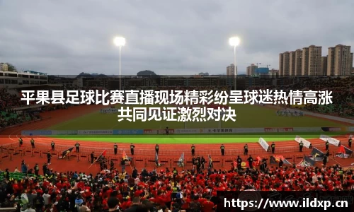 安信12娱乐平台