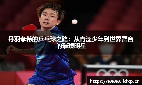 安信12娱乐平台