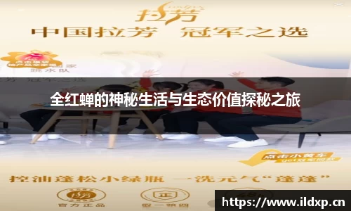 全红蝉的神秘生活与生态价值探秘之旅