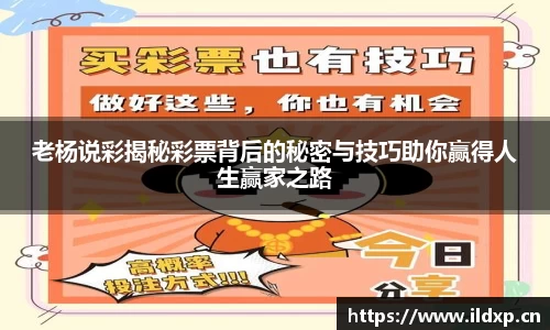 老杨说彩揭秘彩票背后的秘密与技巧助你赢得人生赢家之路