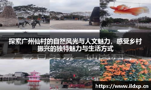 安信12娱乐